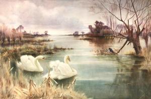 DAVIS Valentine, Val 1854-1930,Swans on a lake,1889,Halls GB 2019-03-20