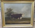 DAVIS William Henry,19th century portrait of a primitive bull in lands,Serrell Philip 2023-01-12