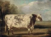 DAVIS William Henry 1783-1865,A prize bull in a field,Christie's GB 2004-03-04