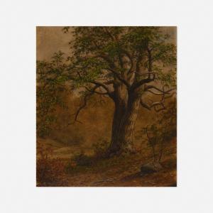 DAVIS William Moore 1829-1920,Study of a Tree,Rago Arts and Auction Center US 2021-11-11