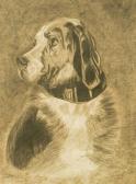 DAWSON Ema 1800-1800,a charcoal study of a dog,1903,Woolley & Wallis GB 2006-11-07