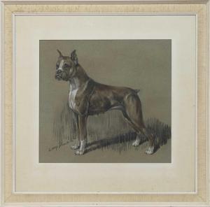 DAWSON Lucy 1867-1958,BOXER DOG,McTear's GB 2023-07-19