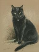 DAWSON Lucy 1867-1958,Portrait of a black cat,Bonhams GB 2004-03-23