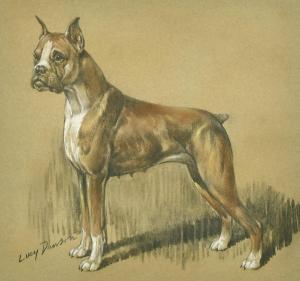 DAWSON Lucy 1867-1958,study of a standing dog,John Nicholson GB 2022-10-05