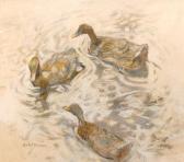 DAWSON Mabel 1887-1965,Ducks on a pond,Fieldings Auctioneers Limited GB 2016-05-21
