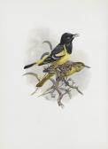 DAWSON WILLIAM LEON 1873-1928,The Birds of California,Bonhams GB 2014-02-10