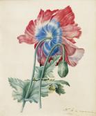 DE BEAUREPAIRE CHACERE APOLLINE MARIE FRANCOISE,FLEURS,1833,Sotheby's GB 2011-10-26