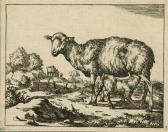 DE BIJE MARCUS,Various Sheep,1664,Swann Galleries US 2010-10-27