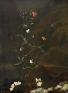 de BRAY Dirck 1640-1690,A carnation, Banded snails, a damsel-fly, a Red Ad,Bonhams GB 2014-04-30