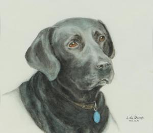 de Burgh Lydia 1923-2007,BLACK LABRADOR,Ross's Auctioneers and values IE 2023-07-19