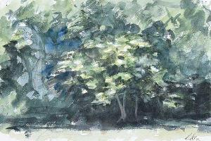 de Burgh Lydia 1923-2007,TREES IN A LANDSCAPE,Ross's Auctioneers and values IE 2018-11-07