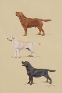 DE CREM Johan 1962,Labradors - Bassets,Brussels Art Auction BE 2015-03-31