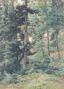DE DARTEIN Marie Ferdinand 1838-1912,Vue de la forêt vosgienne,1882,Beaussant-Lefèvre FR 2007-03-14