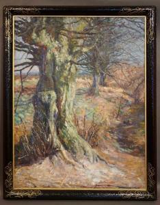 de DRAMARD Georges 1839-1900,Le vieil arbre,Legros BE 2019-05-09