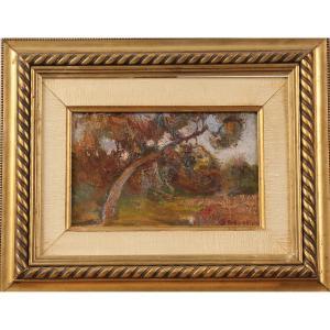 De FRANCISCO Pietro 1873-1969,Paesaggio con alberi,Galleria Sarno IT 2023-11-24