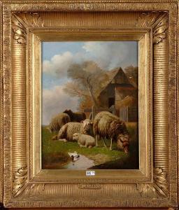 DE FREYN charles 1851-1929,Moutons au pré,VanDerKindere BE 2011-12-06