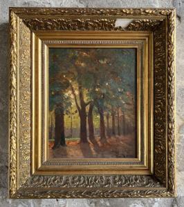 de FRICK Paul 1864-1935,Vue d'un sous-bois,Daguerre FR 2022-09-11