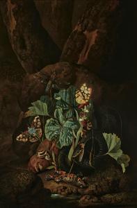 de HAMILTON Carl Wilhelm,A forest floor with a snake, frog, snail, butterfl,Christie's 2023-05-25