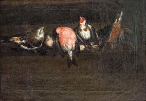 De HAMILTON Franz 1623-1712,Fünf aufgereihte seltene Vögel, darunter ,17th century,Palais Dorotheum 2023-11-22