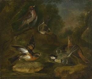 de HAMILTON Philipp Ferdinand 1664-1750,Waldstück mit Vögeln.,Neumeister DE 2006-03-15