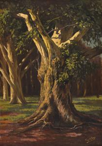 DE JONG Tinus 1885-1942,Tree Trunks,Strauss Co. ZA 2024-03-11
