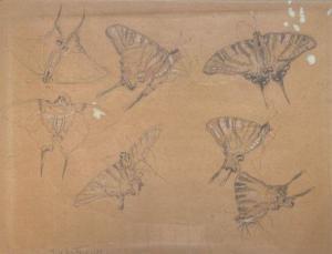 DE LA FONTINELLE Jean 1900-1974,Etude de papillons,Pescheteau-Badin FR 2022-04-13
