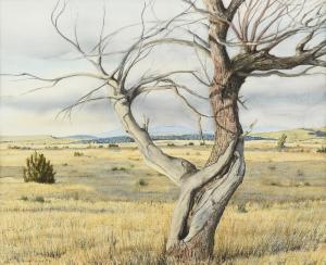 DE LA FUENTE Peter 1959,Tree in Landscape,Simpson Galleries US 2022-11-12