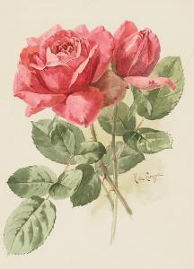 de LONGPRÉ Paul 1855-1911,Roses,Bonhams GB 2024-04-26