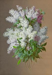 De Longpre Raoul Mauchera 1843-1911,Floral still life with lilacs,Bonhams GB 2010-05-26