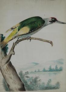 DE MONCHY H.F,Uccello in un paesaggio,1856,Il Ponte Casa D'aste Srl IT 2009-10-20