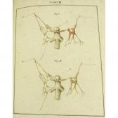 DE NERVI Jean F,Sympathetici Humani Fabrica Usu et Morbis,1823,Lyon & Turnbull GB 2017-01-11