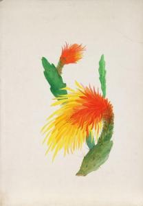 DE PARIS REGIS 1948,Cactus Flower 4,Ro Gallery US 2012-06-27
