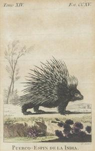 de SEVE Jacques Eustache 1790-1830,Colección de cinco grabados de animales,Subastas Segre 2021-12-14