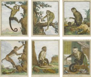 de SEVE Jacques Eustache 1790-1830,Monkeys,Sotheby's GB 2018-04-20