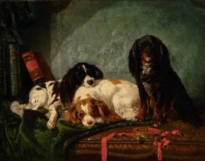 de VOS Vincent 1829-1875,Three Dogs at Rest,1860,William Doyle US 2023-12-20