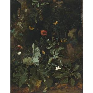 DE VREE NICOLAS 1645-1702,A FOREST FLOOR STILL LIFE WITH FLOWERING PLANTS AN,Sotheby's GB 2011-01-27