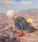 de ZWART Pieter 1880-1967,a flowering cactus in the desert,Bonhams GB 2005-08-21