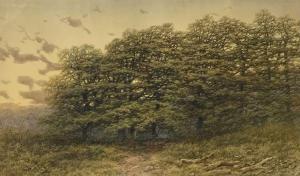 DEAKIN Peter 1855-1879,woodland scene,Hansons GB 2022-01-12