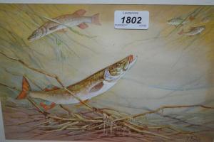 DEAN James 1931-1955,Study of pike and roach,Lawrences of Bletchingley GB 2017-01-31