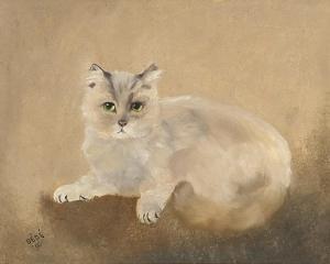 DEDE,Portrait of a cat,Eastbourne GB 2021-08-03