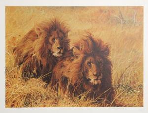 DEDONATO Louis John 1934,Untitled - Lions,1975,Ro Gallery US 2010-02-23