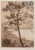 DELATRE Eugene 1864-1938,Etude de pins à Kérity ; Bois de Beauport à Kérity,1912,Ader FR 2022-11-25