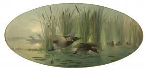DELESSARD Auguste Joseph 1827-1890,Duck Shooting,1861,Christie's GB 2019-12-12