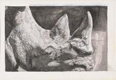 DELISS JOACHIM,Rinoceronte,Meeting Art IT 2009-06-06
