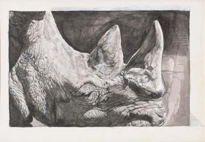 DELISS JOACHIM,Rinoceronte,Meeting Art IT 2009-06-06