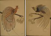 DELLA FERRERA J,A pair of paintings of Birds of Paradise,Mossgreen AU 2011-06-14