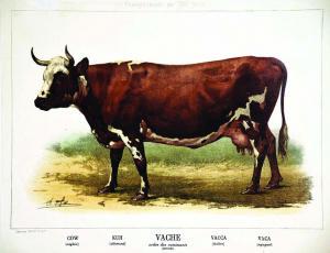 DELORME,Vache Enseignent par les Yeux,1890,Artprecium FR 2019-04-03