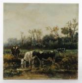 DEN HAAG ROSENBERG 1900,cows grazing in a meadow,Woolley & Wallis GB 2009-10-14