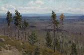 Denisov Ural'skij Aleksej Kuz'mic 1863-1926,Hills and Woods,1909,MacDougall's GB 2017-11-29