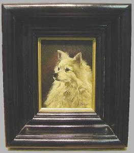 DENNET C,Portrait of a Spitz,William Doyle US 2002-02-12